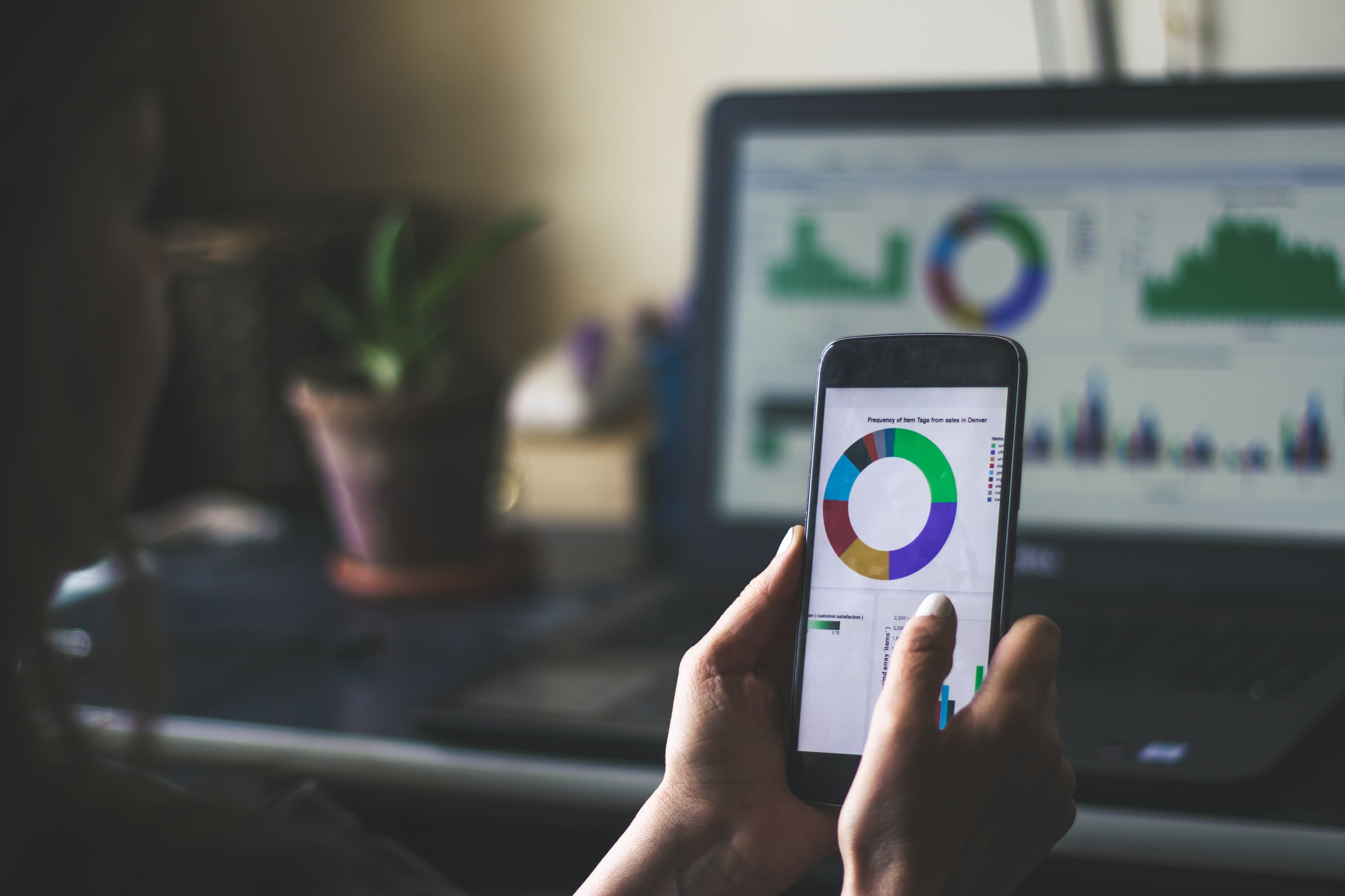 investment-potfolio